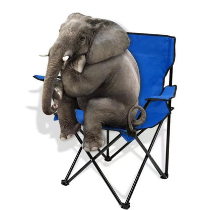 Portable Folding Camping Chair with Hard Arms & Carry Bag